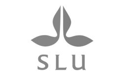 SLU