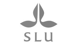 SLU